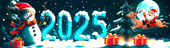 Happy New Year 2025!