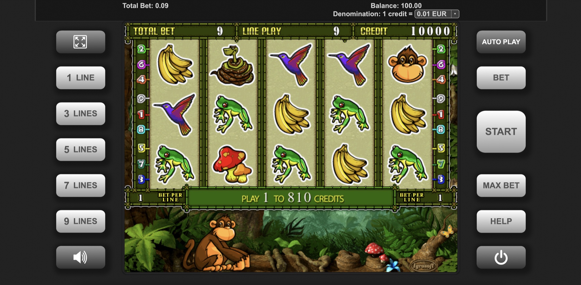 crazy_monkey_2